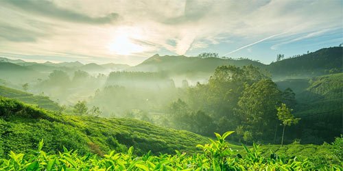 Marayoor or Marayur -The rain shadow village