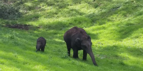 munnar